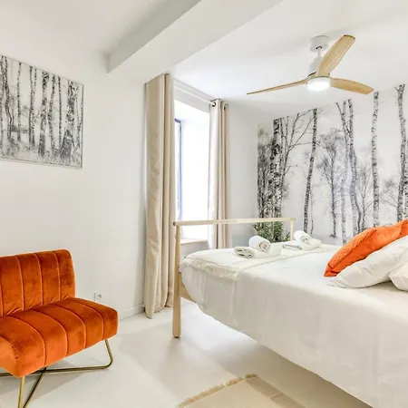 Apartment Les De Laure - L'or Blanc, Avec Vue Sur Le Chateau, Climatisation, A 160 M De La Cite Medievale Carcassonne